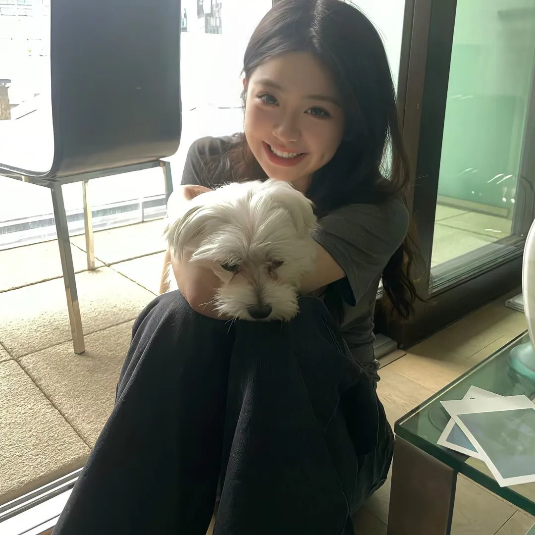 黑狐狸